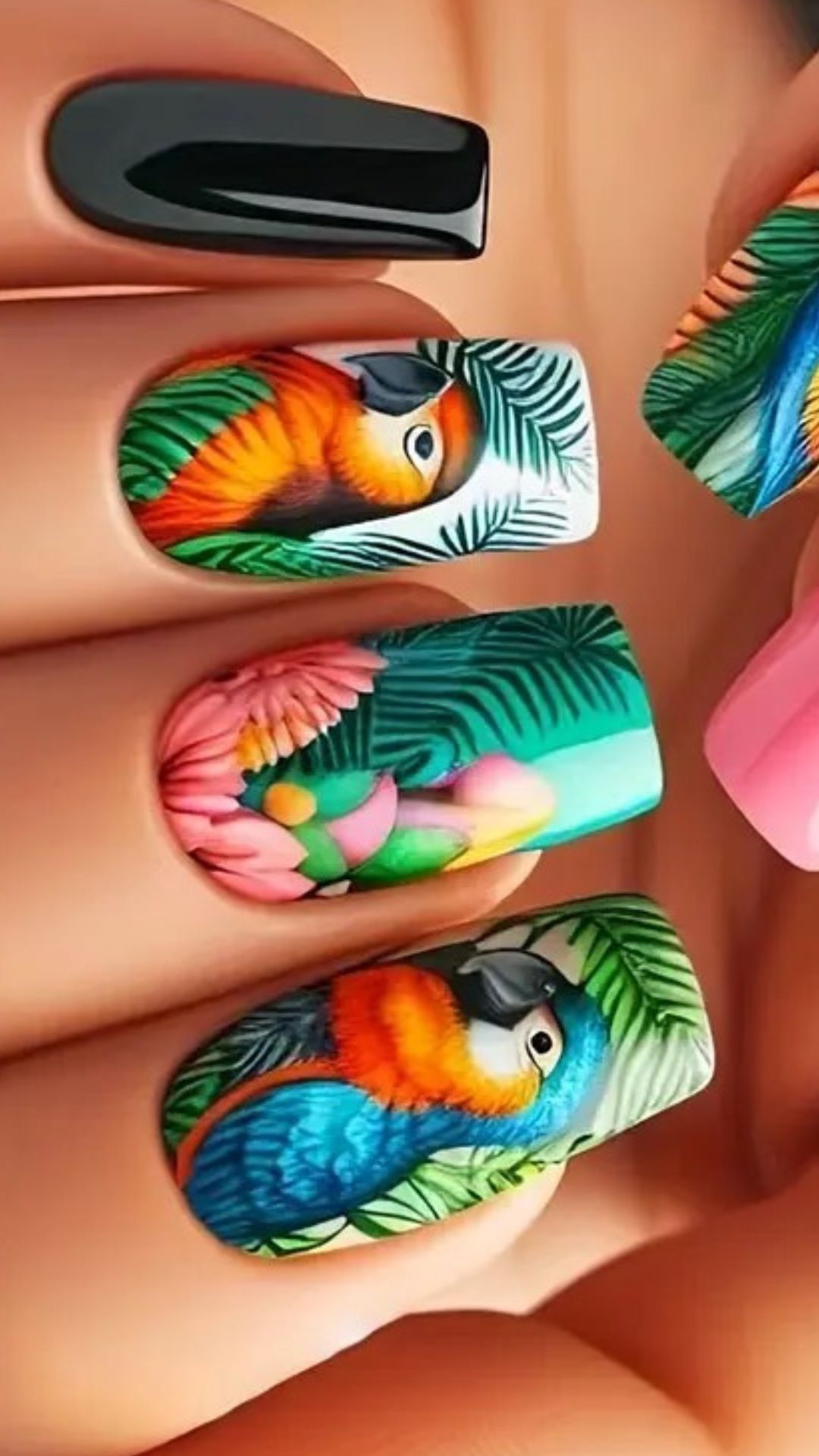 Nail Website Corosal